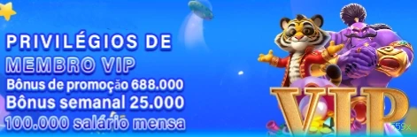 Programa VIP 559x